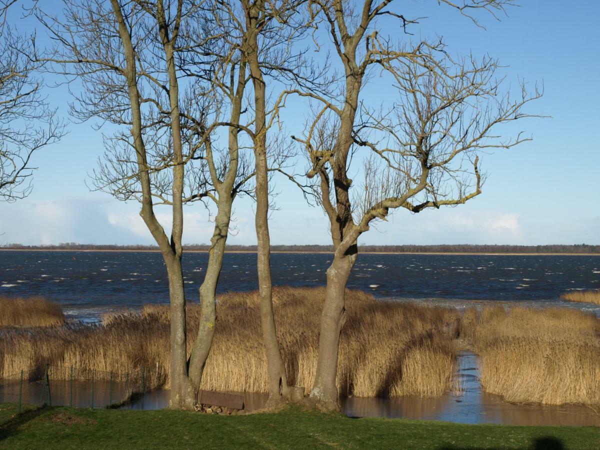 Ferienhaus Kranichblick Kinnbackenhagen Kültér fotó